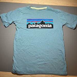 Patagonia Teal Organic Cotton Tee